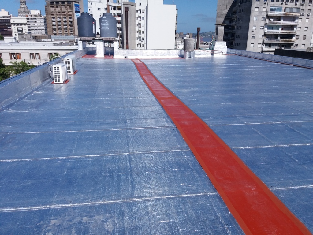 2020_7_8_18_47_2820190131_100451 (2) (FILEminimizer).jpg